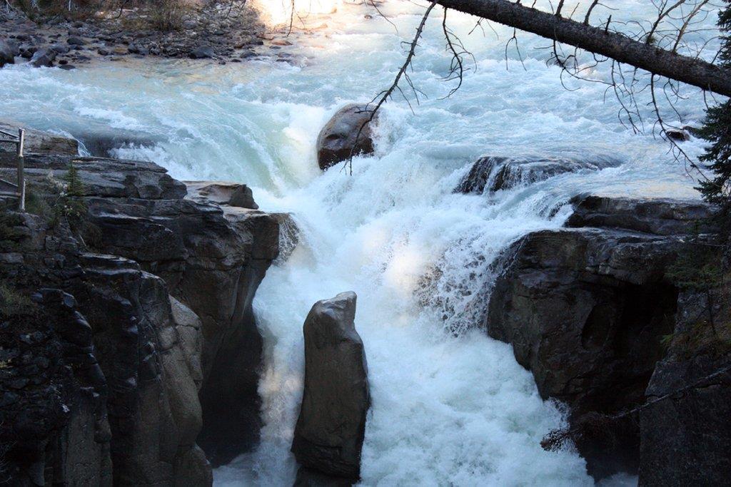 Sunwapta Falls Rocky Mountain Jasper